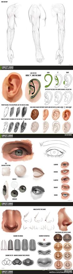 an image of different parts of the body and their functions in each part of the body