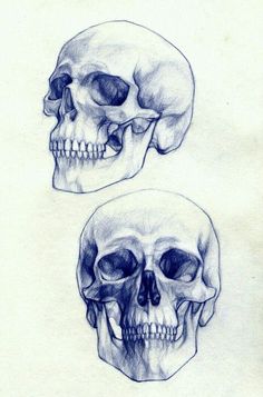 an image of two skulls with different facial expressions on them, and the caption reads tattoo drawing of skulls from pinterest