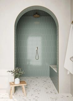 a bath room with a stand up shower and a plant on the side of the tub