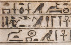 an egyptian hieroglyphic with birds and animals on it