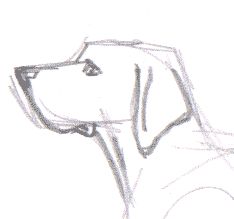 a drawing of a dog's head is shown