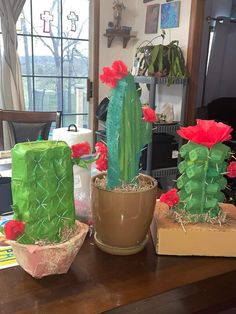 three cactus planters sitting on top of a wooden table