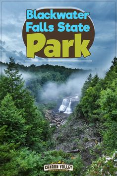 blackwater falls state park is featured on the cover of an article in this book