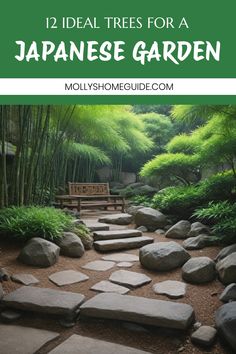 a garden with stepping stones and bamboo trees in the background text reads 12 ideal trees for a japanese garden