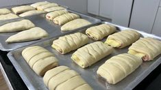 rolls are lined up and ready to go in the oven