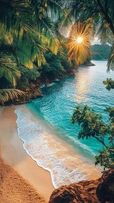 the sun shines brightly through palm trees over an ocean beach with waves crashing on it