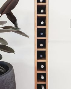 a tall wooden shelf filled with lots of different types of items next to a potted plant