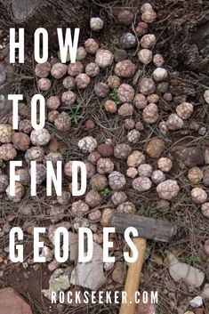 Geode Display Ideas, How To Find Geodes, How To Find Geode Rocks, Rock Hounding Tools, How To Find Crystals, How To Find Crystals In Nature, Where To Find Crystals In Nature, Finding Geodes, Rock Identification Chart