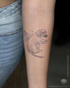 a small dog with wings on its leg is sitting next to a woman's arm