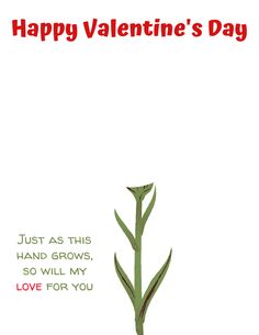 a valentine's day card with a flower