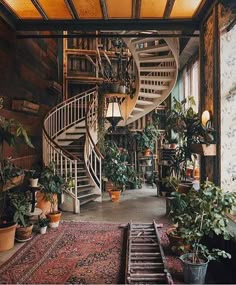 a spiral staircase in the middle of a room with potted plants