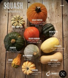 squash varieties on a wooden table with their names in english and spanish, including pumpkins