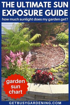 the corner of a house with a garden that's getting plenty of sunshine Gardening Design Layout, Gardening Design, Sun Garden, Rain Barrel, Sun Exposure