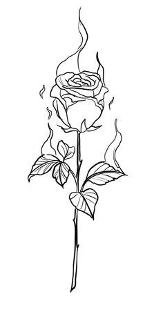 Cool Tattoo Drawings, Stomach Tattoos, Tattoo Design Book, Rose Stem, Line Art Tattoos, Tattoo Stencils, Tattoo Drawings, Small Tattoos, Cool Tattoos