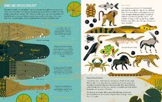 an illustrated book with pictures of animals and plants on the pages, including alligators