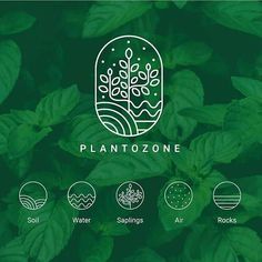 the logo for planttozonee is shown on top of green leaves and plants