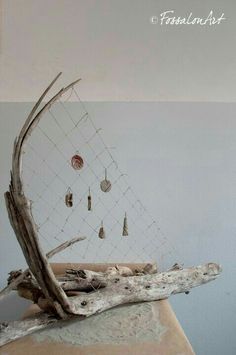 a piece of driftwood with many different things hanging on the wall and in front of it