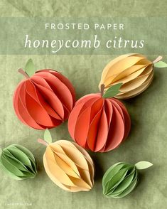 folded paper honeycomb citrus with leaves and flowers in the center on a green background