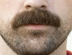 Mens Beard Styles Short, Beard Styles Short, Men's Facial Hair, Mens Facial Hair Styles