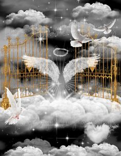 two white doves are flying in front of an open gate with golden gates and birds