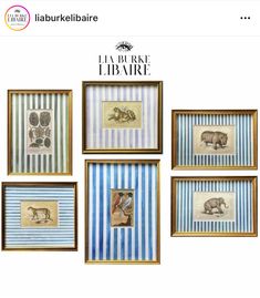 four framed pictures with animals in them on a wall above the words la bourre library