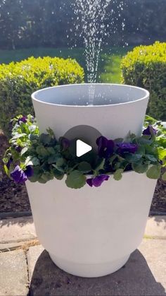 a white planter with purple flowers and water spouting from it's top