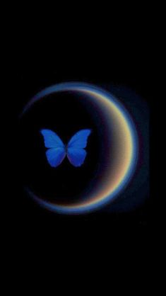 a blue butterfly sitting on top of a moon in the night sky with an eclipse behind it