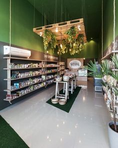 the inside of a grocery store with plants hanging from the ceiling and shelves full of food