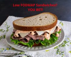 a sandwich on a plate with the words low fodmap sandwiches you bet