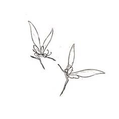 Fairy Doodle Tattoo, Its Never That Serious Tattoo, Fairy Sketch Tattoo, Fairy Doodle Aesthetic, Fairy Tattoo Collarbone, Tattoo Of Freedom, Dragon Tattoo Taylor Swift, Cool Earthy Tattoos, Dainty Dragon Fly Tattoo