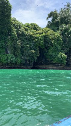 the water is green and blue with trees in the background