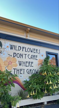 a sign on the side of a building that says wild flowers don't care where they grow