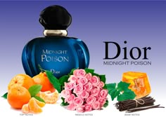 Dior Midnight Poison Dior Midnight Poison, Cacharel Perfume, Burberry Perfume, Womens Perfume, Fragrance Bottles, Perfume Recipes, Scented Lotion