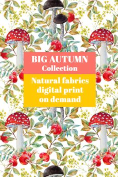 the big autumn collection is featured in this postcard with an image of mushrooms and leaves