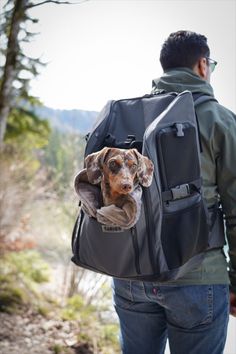 a man carrying a backpack with a dog in it's back pack on his shoulder