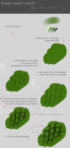 an info sheet showing how to use green leaves