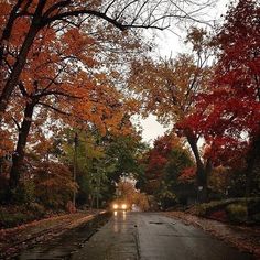 the cars are driving down the road in the fall season with leaves on the ground