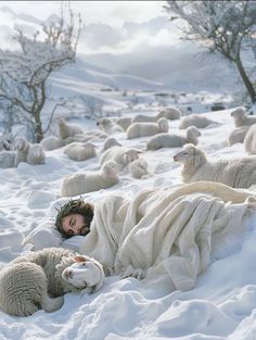 a man laying in the snow with sheep around him and his head covered by a blanket