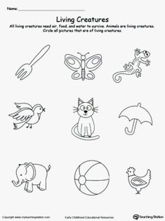 the worksheet for living creatures is shown in black and white, with an image of