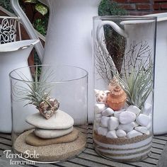 three vases with plants and rocks in them