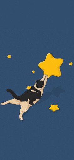 a black and white cat laying on its back with a yellow star in it's mouth