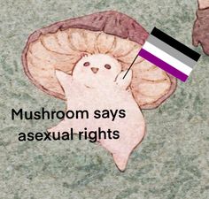 an image of a mushroom with the words mushrooms says asexual rights