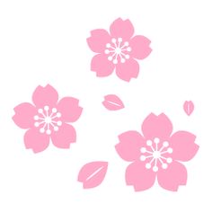 three pink flowers on a white background