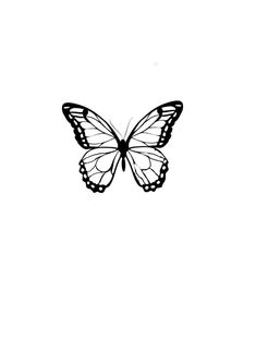 a black and white photo of a butterfly