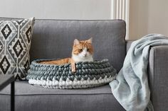 a cat sitting on top of a gray couch