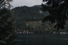 a body of water surrounded by trees and mountains