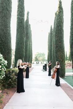 two women in black dresses are playing violin on a path lined with tall, slender trees