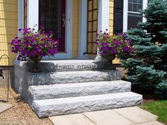 two large planters filled with purple flowers sit on the front steps of a house