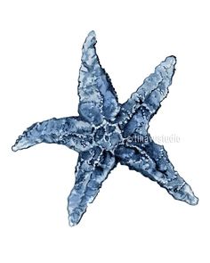 an image of a blue starfish in the water on a white background with clippings