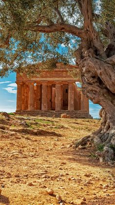 an ancient greek temple surrounded by trees